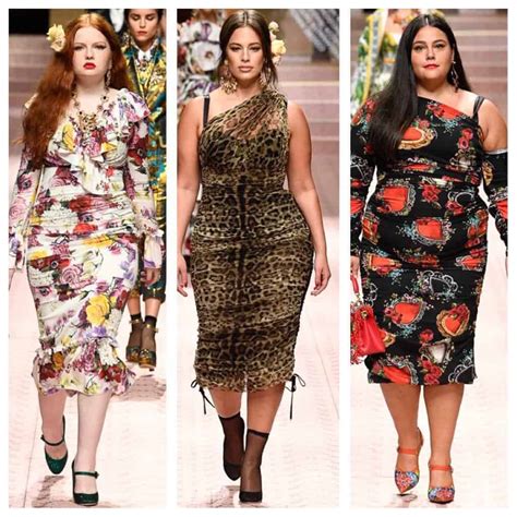 dolce gabbana plus size